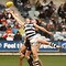 262328-tlssmallthumbnail.jpg